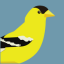 Goldfinch Badge