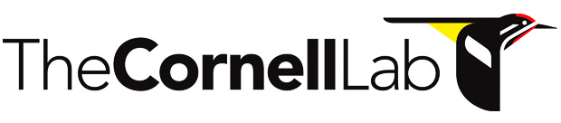 Cornell Lab Logo