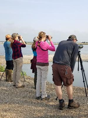 Birding with the Team