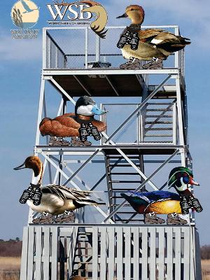 The Sitting Ducks have Started Running!