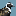 Golden Plover